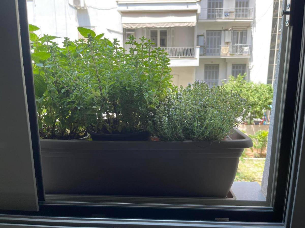 Sapfo Luxury Apartment 1 In Αθήνα Εξωτερικό φωτογραφία